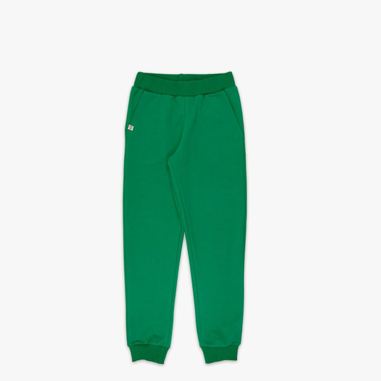 Slim fit joggers is a pair of sweatpants with two Italian type side pockets, ribbed waist and cuffs. The whole pair is in one distinctive colour - green. Front view, the joggers themselves. Children, 3 -10 yrs. BonnyJoy