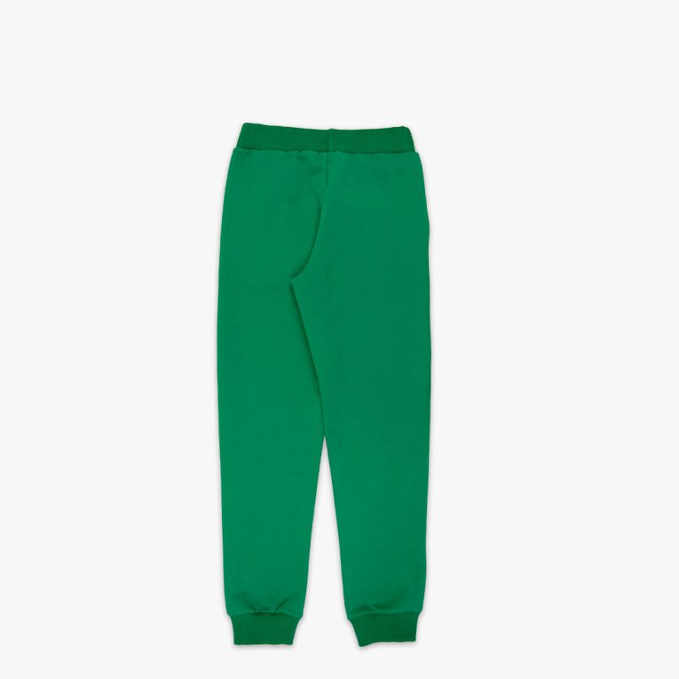 Slim fit joggers is a pair of sweatpants with two Italian type side pockets, ribbed waist and cuffs. The whole pair is in one distinctive colour - green. Back view. Children, 3 -10 yrs. BonnyJoy